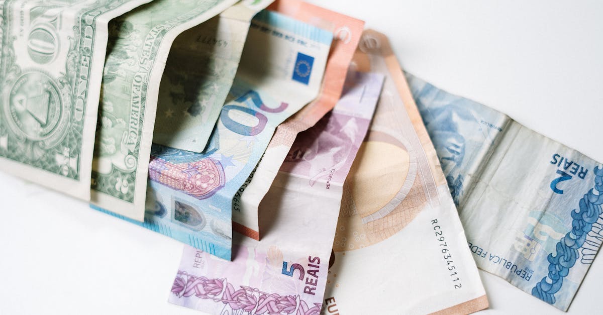Économie verte : les clés pour un avenir durable et responsable