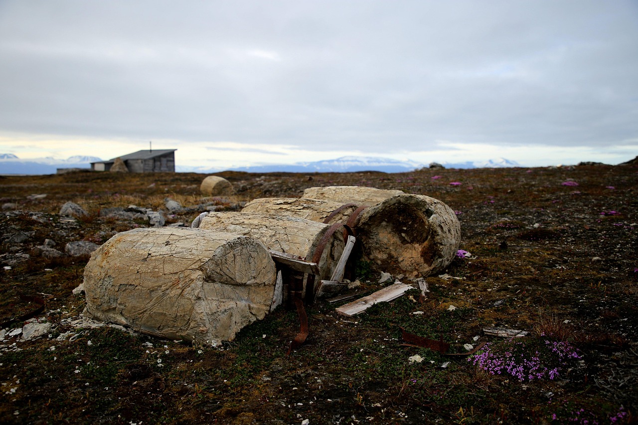 L’impact des émissions provenant du dégel du permafrost sur les budgets carbone