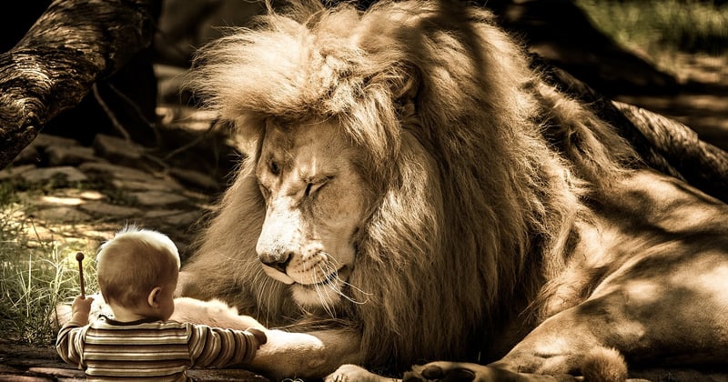 Quelles sont les meilleures solutions de stockage d'énergie à la maison ?