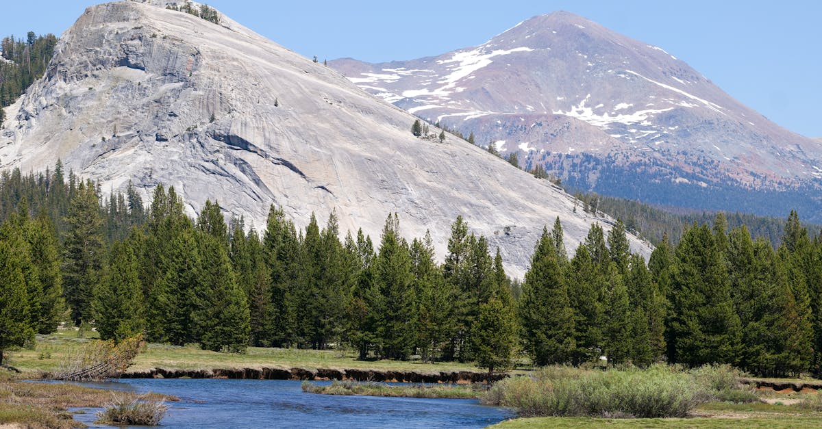 Solutions climatiques : comment lutter efficacement contre le changement environnemental
