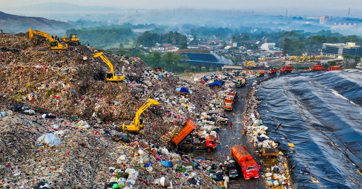 Empreinte écologique : Comment réduire son impact environnemental au quotidien