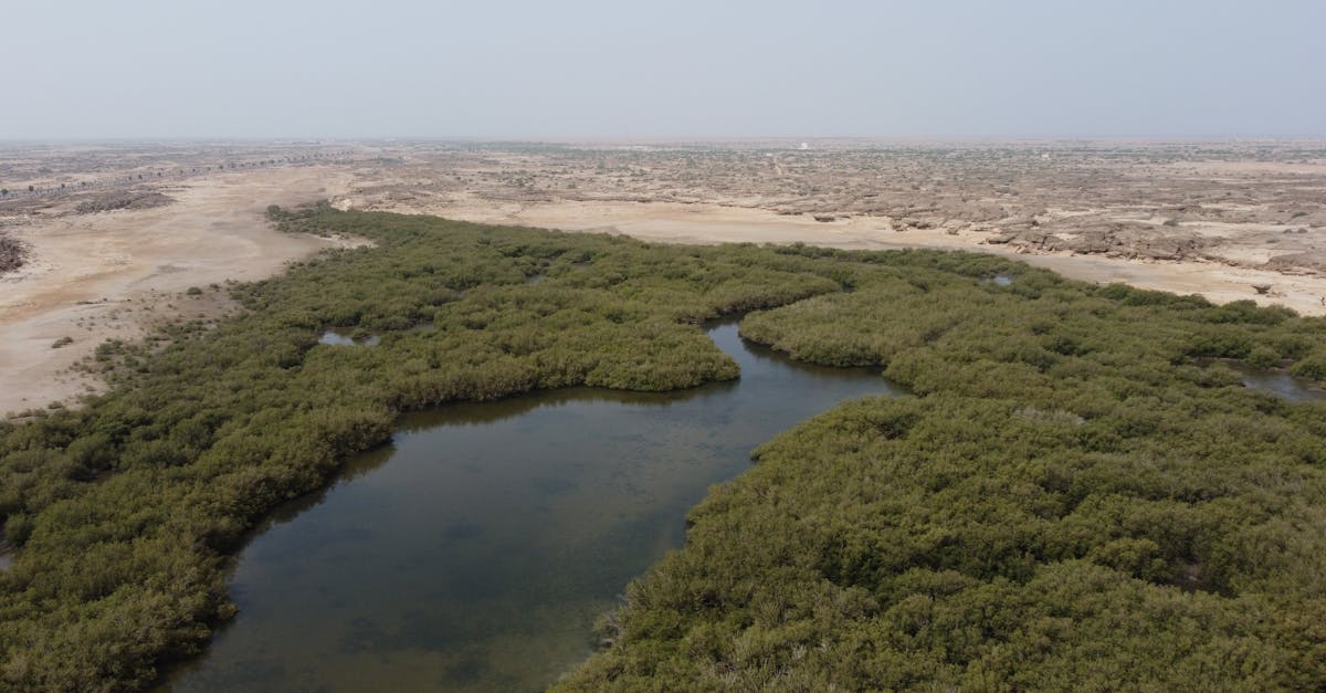 Adaptation climatique : stratégies essentielles pour faire face aux changements environnementaux