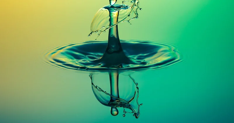 Comment garder une eau saine dans la cuve ?