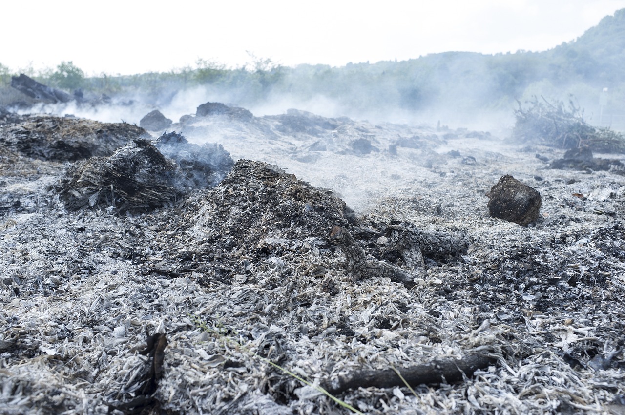 découvrez les combustibles fossiles, leur impact sur l'environnement et les alternatives durables pour un avenir énergétique responsable.