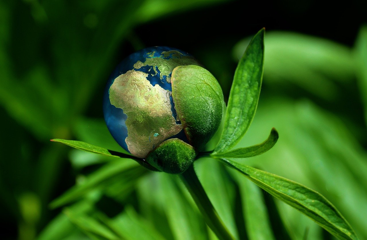 découvrez comment la durabilité joue un rôle essentiel dans la protection de notre planète, en adoptant des pratiques responsables et en favorisant un avenir meilleur pour les générations à venir.