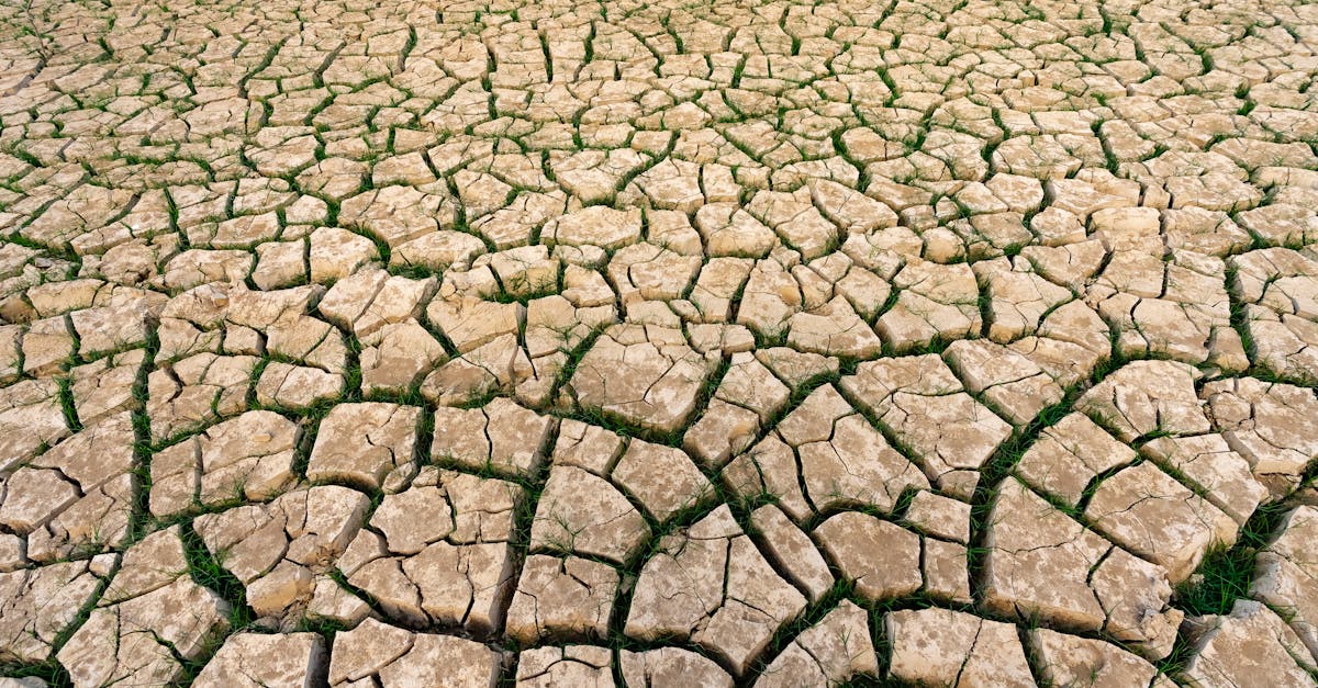 découvrez tout ce qu'il faut savoir sur l'empreinte carbone : définition, impact environnemental, et solutions pour la réduire au quotidien. engagez-vous dans la lutte contre le changement climatique en prenant conscience de vos actions !