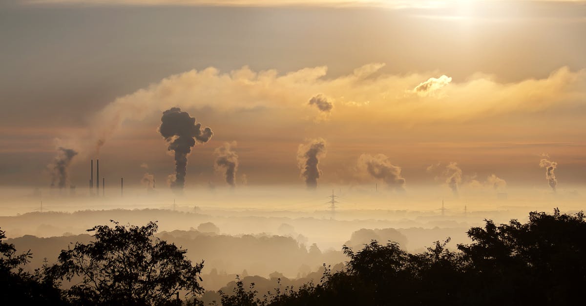 découvrez l'empreinte carbone, un indicateur clé de notre impact environnemental. apprenez comment réduire vos émissions, adopter des pratiques durables et contribuer à un avenir plus vert.