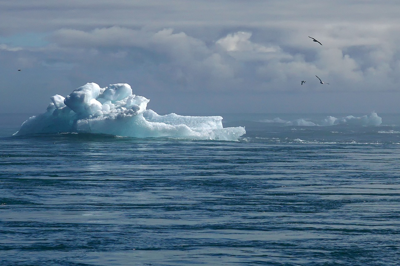 découvrez comment le changement climatique impacte notre planète et quelles actions nous pouvons entreprendre pour protéger l'environnement. informez-vous sur les causes, les conséquences et les solutions pour un futur durable.