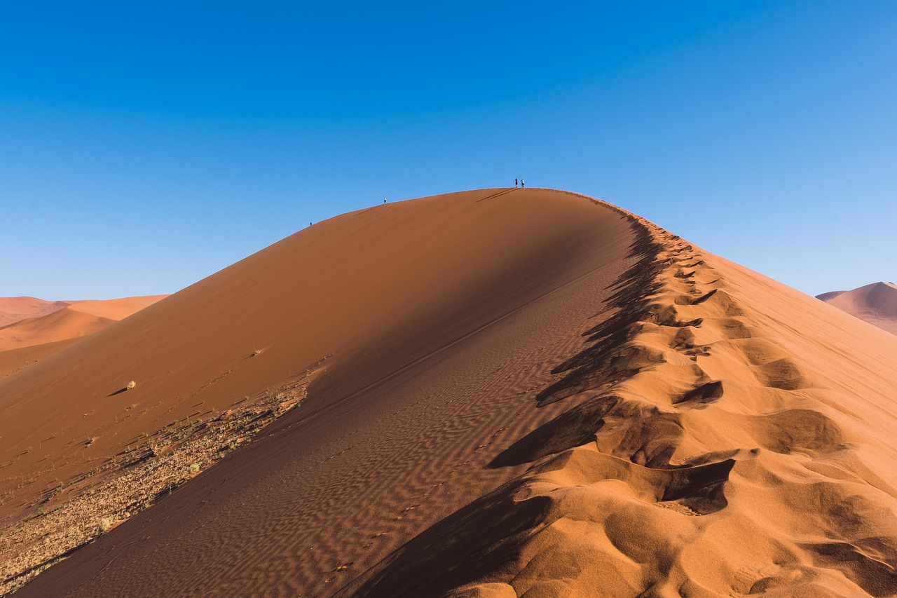 découvrez l'impact du changement climatique sur notre planète. explorez les effets sur la biodiversité, les écosystèmes et les sociétés humaines. informez-vous sur les solutions durables et les actions à entreprendre pour réduire notre empreinte carbone.