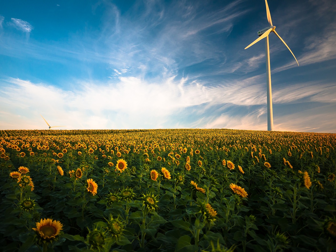 découvrez les avantages des énergies renouvelables, des solutions durables pour un avenir plus vert. informez-vous sur les différentes sources d'énergie propre et leur impact positif sur l'environnement.