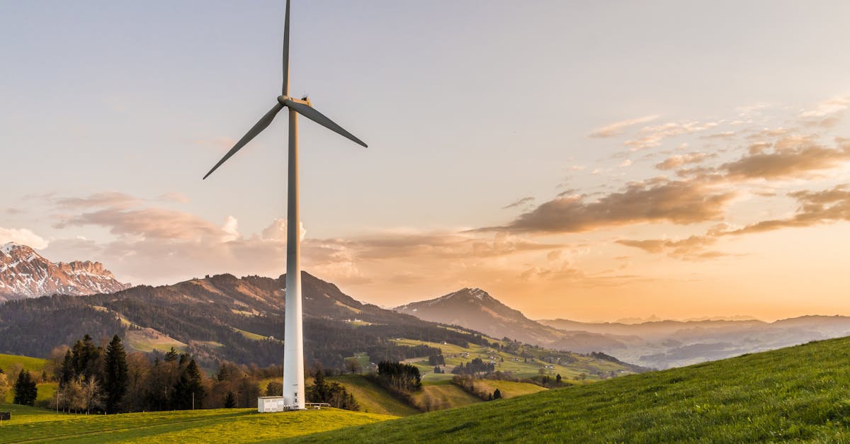 découvrez comment la durabilité façonne notre avenir, en explorant des pratiques respectueuses de l'environnement, des initiatives innovantes et des modes de vie éco-responsables pour préserver notre planète pour les générations futures.