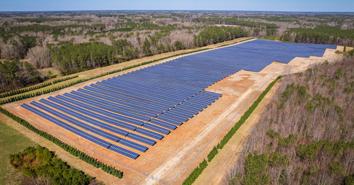 découvrez l'empreinte carbone, un indicateur essentiel de l'impact environnemental de nos activités. apprenez comment mesurer, réduire et compenser votre empreinte pour contribuer à un avenir plus durable.