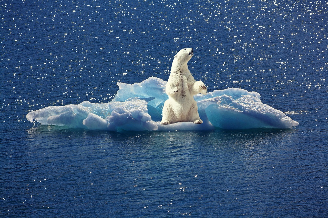 Changements climatiques : comment les nations réagissent