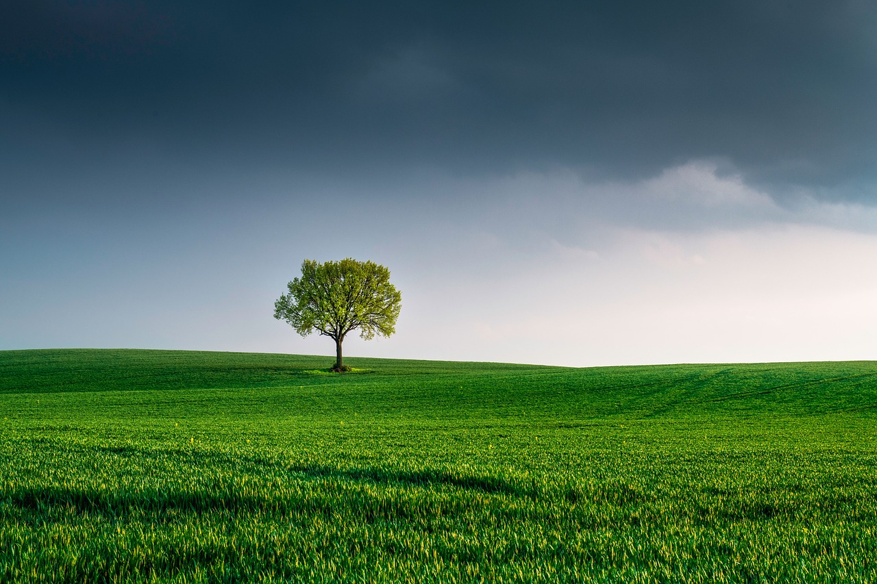 découvrez l'univers fascinant des environnements numériques, où l'innovation et la technologie se rencontrent pour transformer notre quotidien. explorez comment ces espaces virtuels enrichissent nos interactions, facilitent l'apprentissage et révolutionnent les expériences utilisateur.