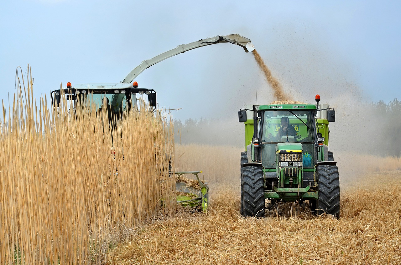 découvrez tout sur les biofuels, des alternatives durables aux combustibles fossiles, leur impact écologique, les technologies de production et les avantages pour l'environnement. informez-vous sur l'avenir énergétique et les innovations qui façonnent l'industrie des biocarburants.