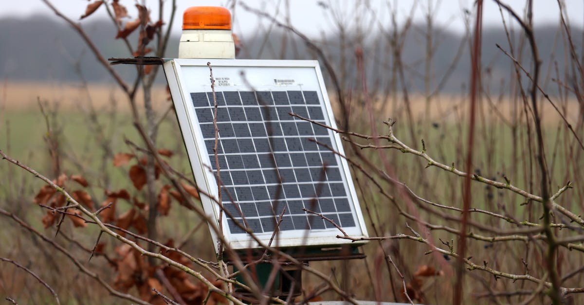 découvrez tout ce que vous devez savoir sur l'empreinte carbone, son impact sur l'environnement et les actions que vous pouvez entreprendre pour la réduire. informatique, conseils pratiques et astuces écologiques au rendez-vous pour un avenir durable.