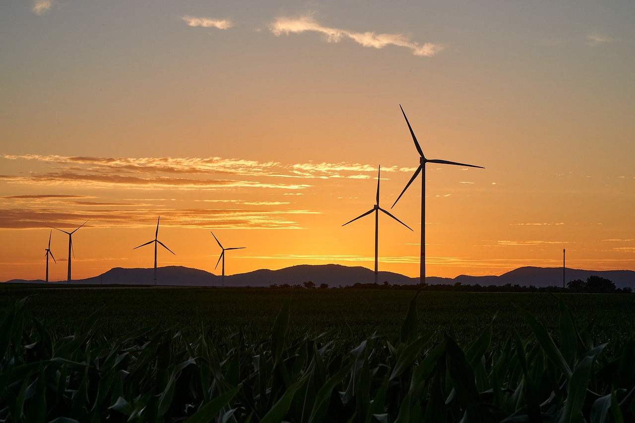 Les énergies renouvelables comme levier de réduction du bilan carbone