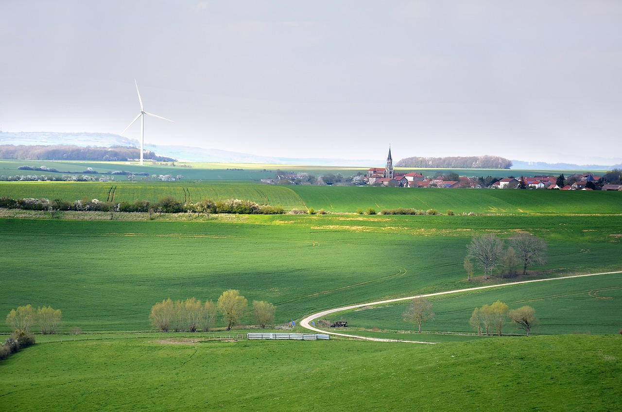 découvrez des initiatives de développement durable qui transforment notre monde. explorez des projets innovants et des stratégies visant à préserver l'environnement tout en favorisant le bien-être économique et social des communautés.