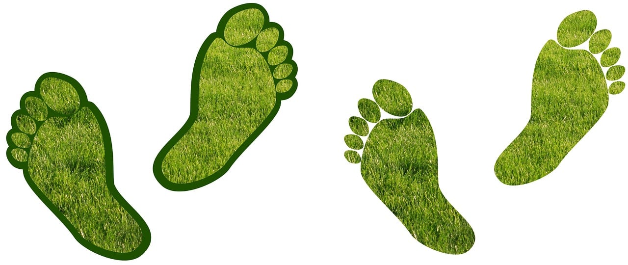 découvrez ce qu'est l'empreinte carbone et son impact sur l'environnement. apprenez comment réduire votre empreinte personnelle grâce à des actions simples et efficaces. engagez-vous pour un avenir plus durable !