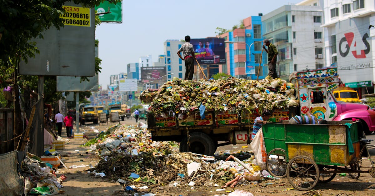 Écologie urbaine : Comment les villes peuvent devenir plus durables et respectueuses de l’environnement