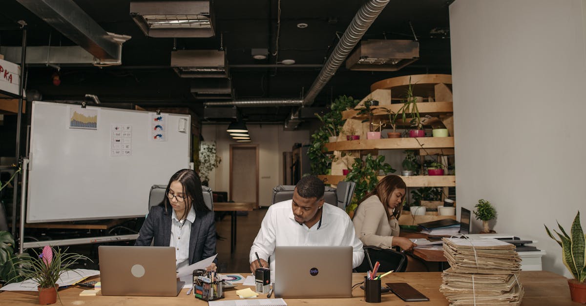 Entrepreneuriat écologique : Comment bâtir une entreprise durable et responsable