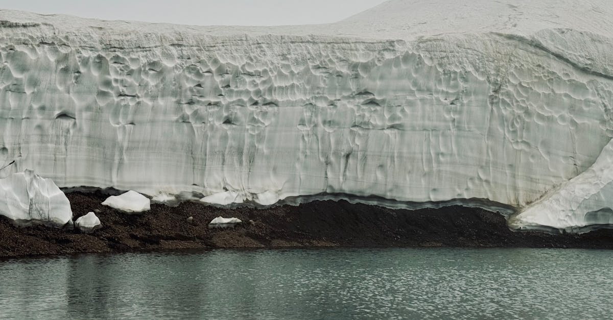 Hausse des températures : comprendre les impacts sur notre climat
