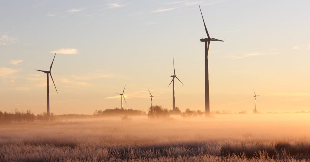 découvrez des interventions écologiques innovantes visant à préserver notre environnement. apprenez comment des solutions durables peuvent contribuer à la protection de la biodiversité et à la lutte contre le changement climatique.