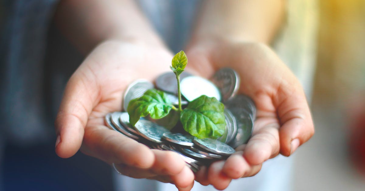 Investissements verts : comment investir dans un avenir durable