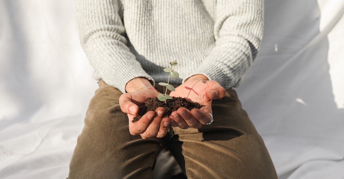 Responsabilité écologique : comment agir pour un avenir durable