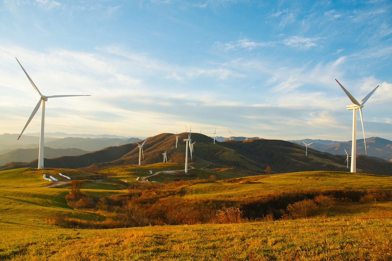 Soutien aux entreprises pour accélérer leur transition vers une économie durable