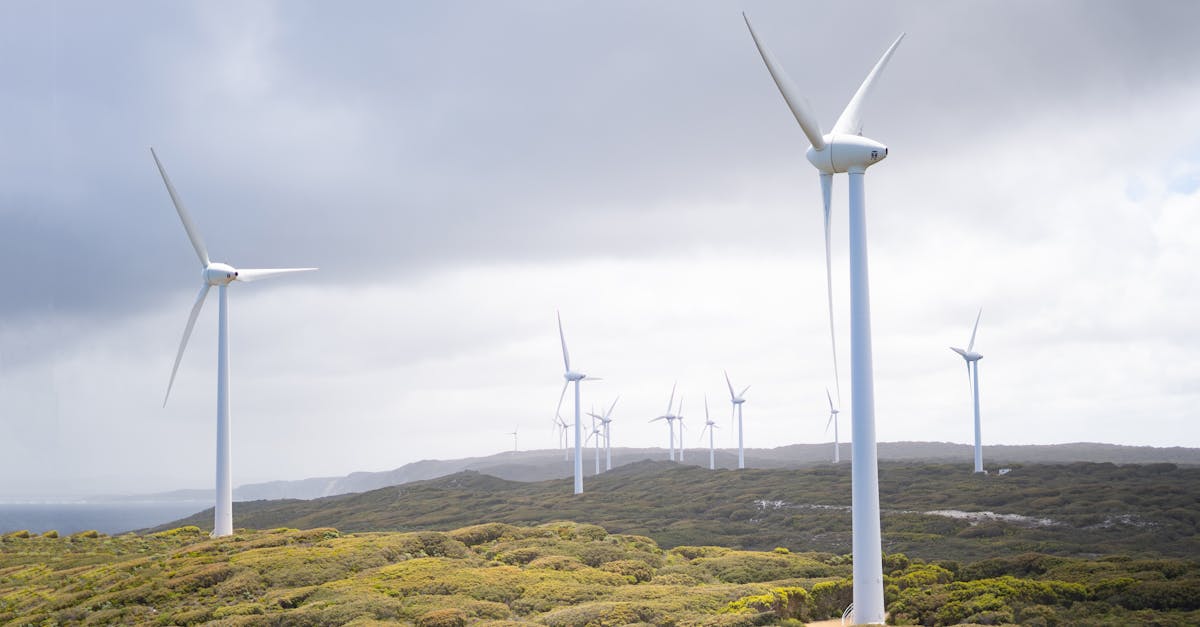 Technologies de décarbonation : Réduire l’empreinte carbone grâce à l’innovation