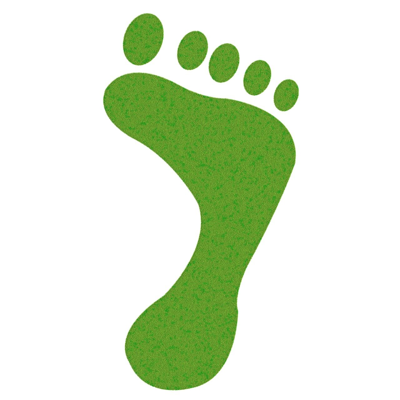 découvrez l'impact de votre empreinte carbone et apprenez des stratégies efficaces pour réduire votre contribution au changement climatique. informez-vous sur les mesures à prendre pour un avenir plus durable.