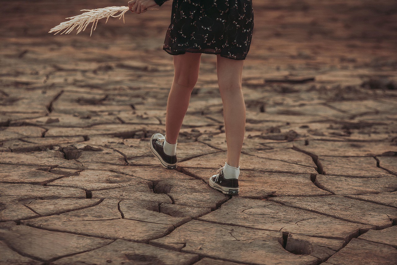 découvrez ce qu'est l'empreinte écologique et son impact sur notre environnement. apprenez comment mesurer et réduire votre empreinte pour un avenir durable.