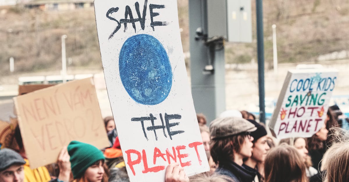 découvrez l'importance du mouvement environnementaliste, ses enjeux cruciaux pour la planète, et comment chacun peut contribuer à la protection de notre environnement pour un avenir durable.
