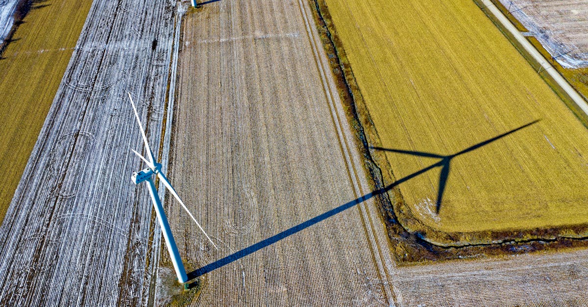 découvrez l'importance des ressources renouvelables pour un avenir durable. explorez les différentes formes d'énergie renouvelable, leur impact sur l'environnement et comment elles contribuent à la lutte contre le changement climatique.