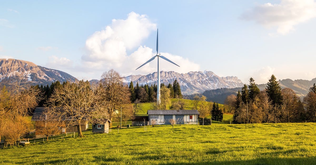 découvrez les ressources renouvelables : énergie solaire, éolienne, hydraulique et biomasse. explorez leur impact sur l'environnement et leur potentiel pour un avenir durable.