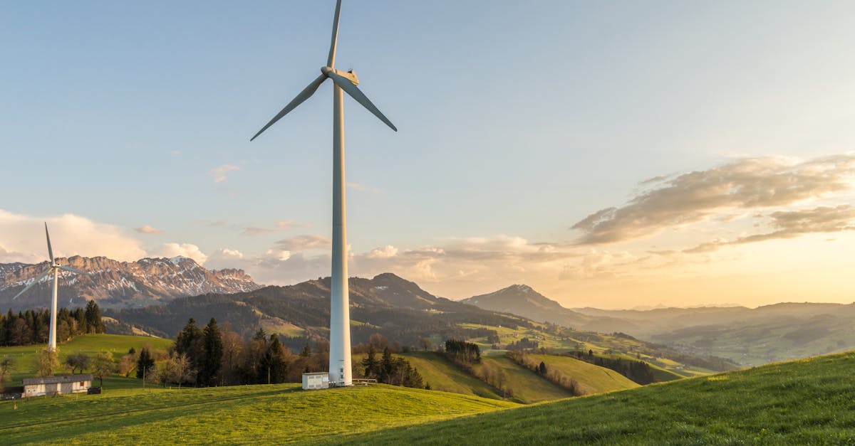 découvrez l'importance des ressources renouvelables pour un avenir durable. apprenez comment l'énergie solaire, éolienne et hydraulique peut contribuer à réduire notre empreinte carbone et à préserver notre environnement.