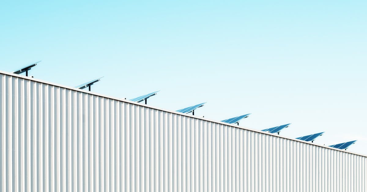 découvrez l'importance de la durabilité pour un avenir meilleur. explorez des pratiques écologiques, des innovations vertes et des solutions durables qui préservent notre planète et améliorent notre qualité de vie.