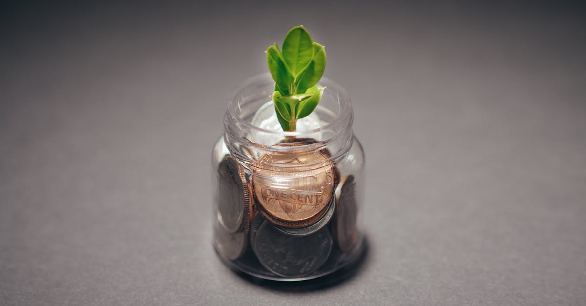 découvrez l'entrepreneuriat durable, une approche qui allie profitabilité et responsabilité environnementale. apprenez comment innover tout en respectant la planète et en contribuant à un avenir meilleur grâce à des pratiques commerciales durables.