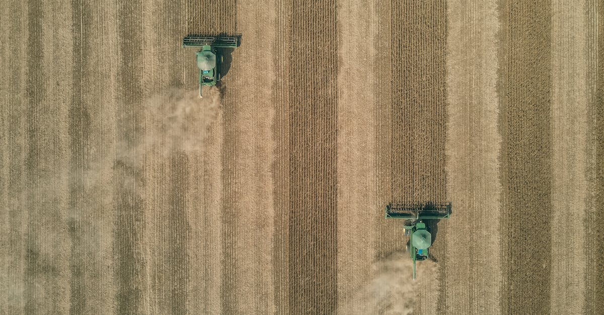 découvrez comment investir de manière durable et responsable avec nos stratégies d'investissement vert. transformez votre patrimoine tout en contribuant à un avenir meilleur pour la planète.