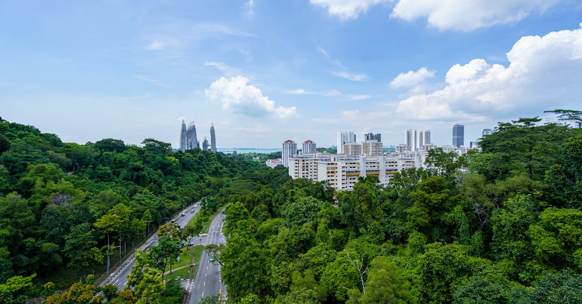 découvrez l'écologie urbaine, une discipline fascinante qui explore les interactions entre les êtres vivants et leur environnement urbain. apprenez comment les villes peuvent devenir des espaces durables et verts, favorisant la biodiversité et améliorant la qualité de vie des habitants.