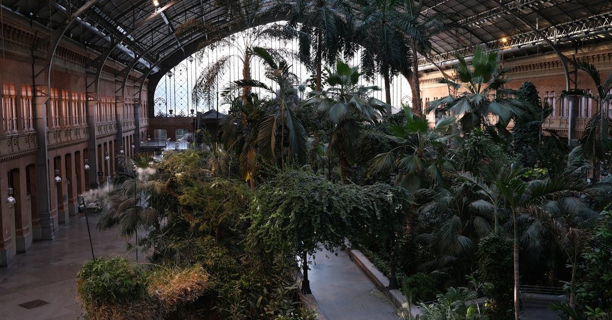 découvrez l'écologie urbaine, une discipline qui explore les interactions entre les êtres vivants et leur environnement en milieu urbain. apprenez comment les villes peuvent devenir des espaces durables, favorisant la biodiversité et le bien-être des citoyens.