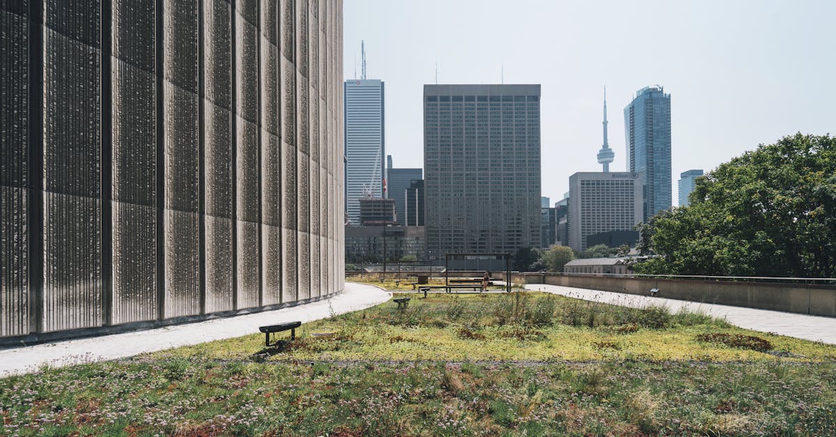 découvrez l'écologie urbaine : une étude de la relation entre la nature et les environnements urbains. apprenez comment intégrer la biodiversité, la durabilité et les espaces verts dans nos villes pour créer des habitats sains et résilients.