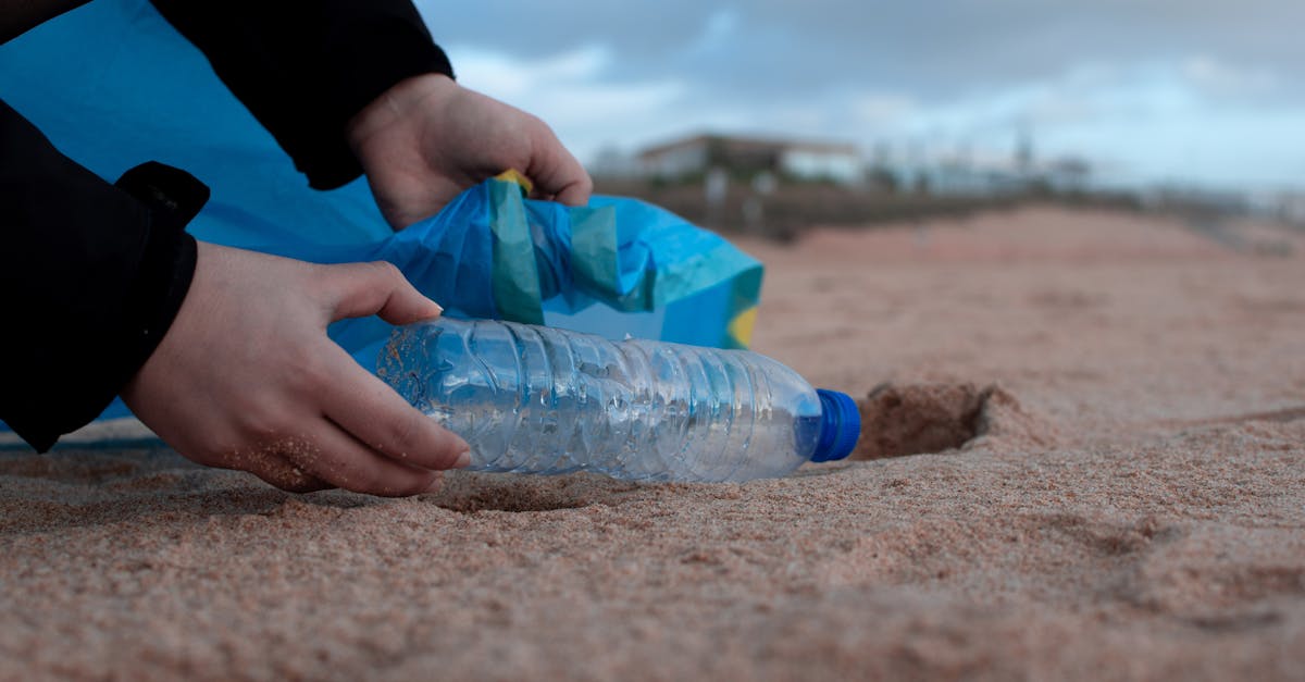 découvrez des stratégies efficaces pour la réduction des déchets. apprenez comment minimiser votre impact environnemental tout en adoptant des pratiques durables au quotidien.
