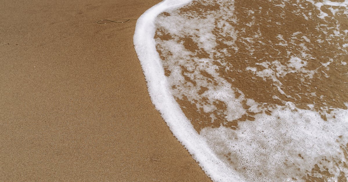 découvrez l'empreinte hydrique, un indicateur crucial pour mesurer la consommation d'eau liée aux produits et activités humaines. apprenez comment réduire votre impact sur les ressources en eau et adopter des pratiques durables pour préserver notre environnement.