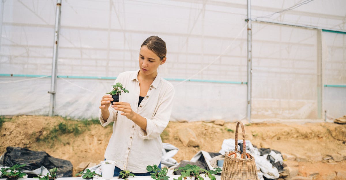 découvrez l'agroécologie, une approche durable qui allie agriculture, environnement et bien-être. explorez des pratiques innovantes pour favoriser la biodiversité, protéger les ressources naturelles et garantir une alimentation saine tout en soutenant les communautés locales.