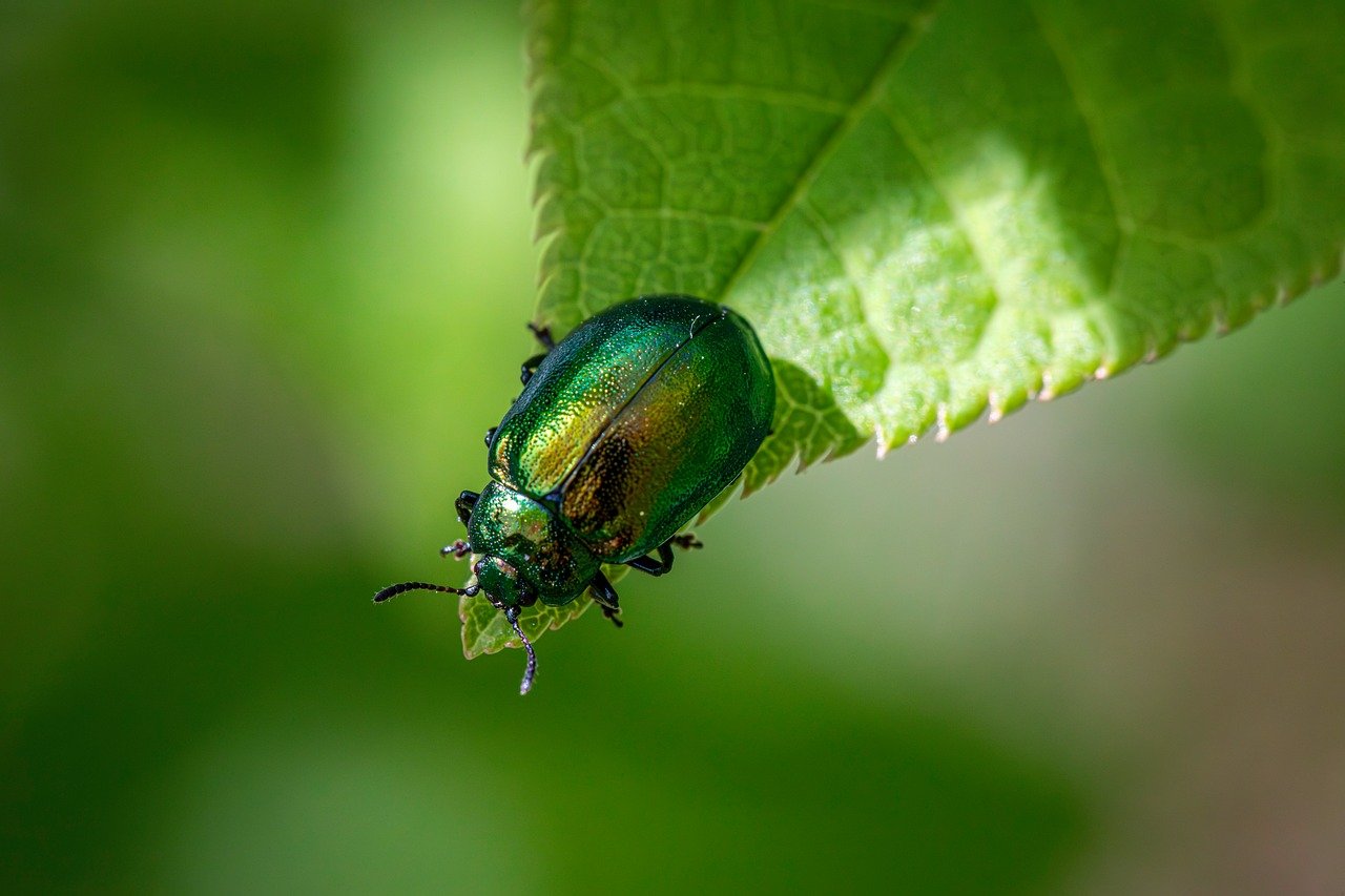 découvrez l'écologie numérique, un concept essentiel qui explore l'impact des technologies numériques sur l'environnement. apprenez comment allier innovation et durabilité pour un avenir plus vert.