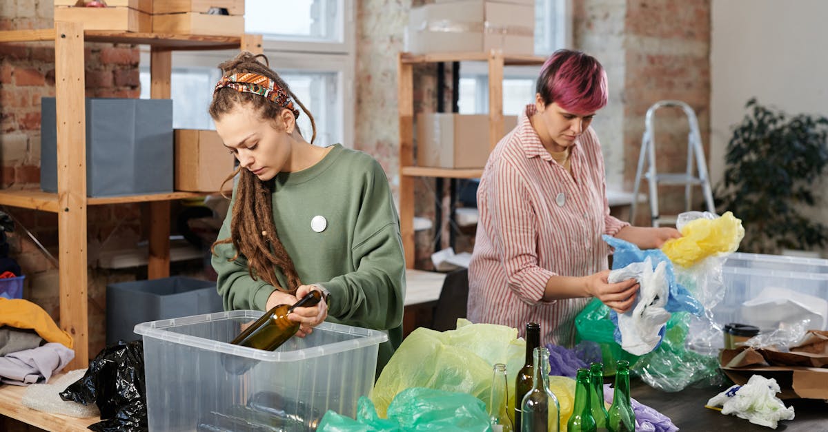 découvrez des pratiques durables qui favorisent l'harmonie avec l'environnement. apprenez comment intégrer des solutions écologiques dans votre quotidien pour un avenir plus vert et responsable.
