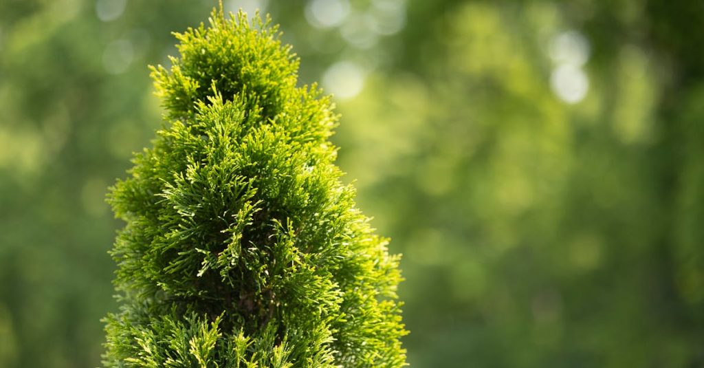 découvrez comment les partenariats environnementaux favorisent la durabilité et la protection de notre planète. explorez des initiatives collaboratives qui unissent entreprises, organismes et communautés pour un avenir plus vert.