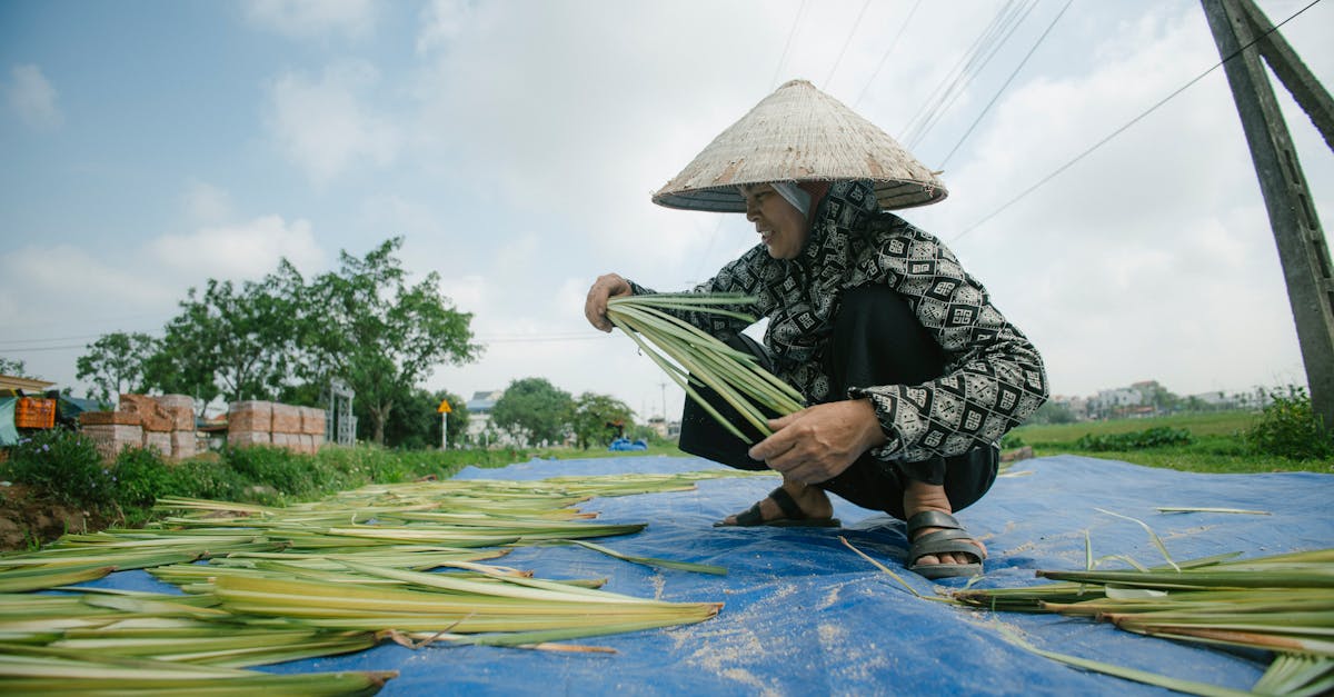 découvrez comment les réglementations environnementales façonnent notre avenir, protègent la biodiversité et encouragent des pratiques durables. informez-vous sur les lois et normes en vigueur qui garantissent un équilibre entre développement économique et préservation de l'environnement.